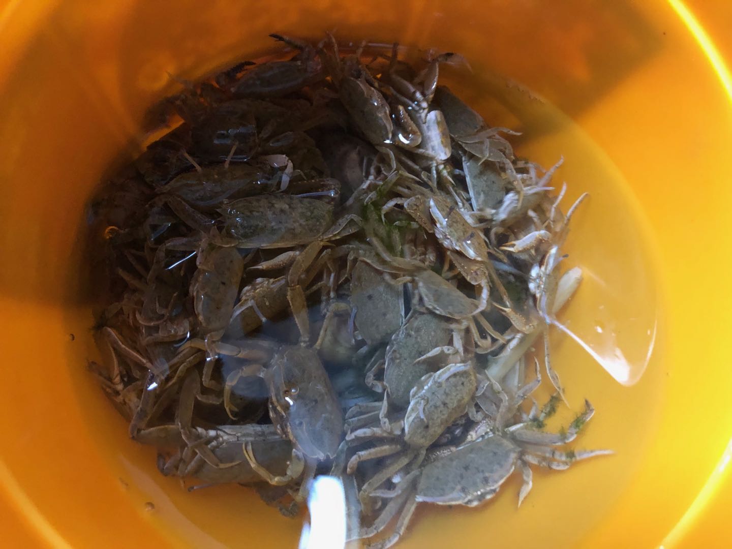 趕海 - 第8张图片 | 東漁而笠 趕海 - 第8张图片