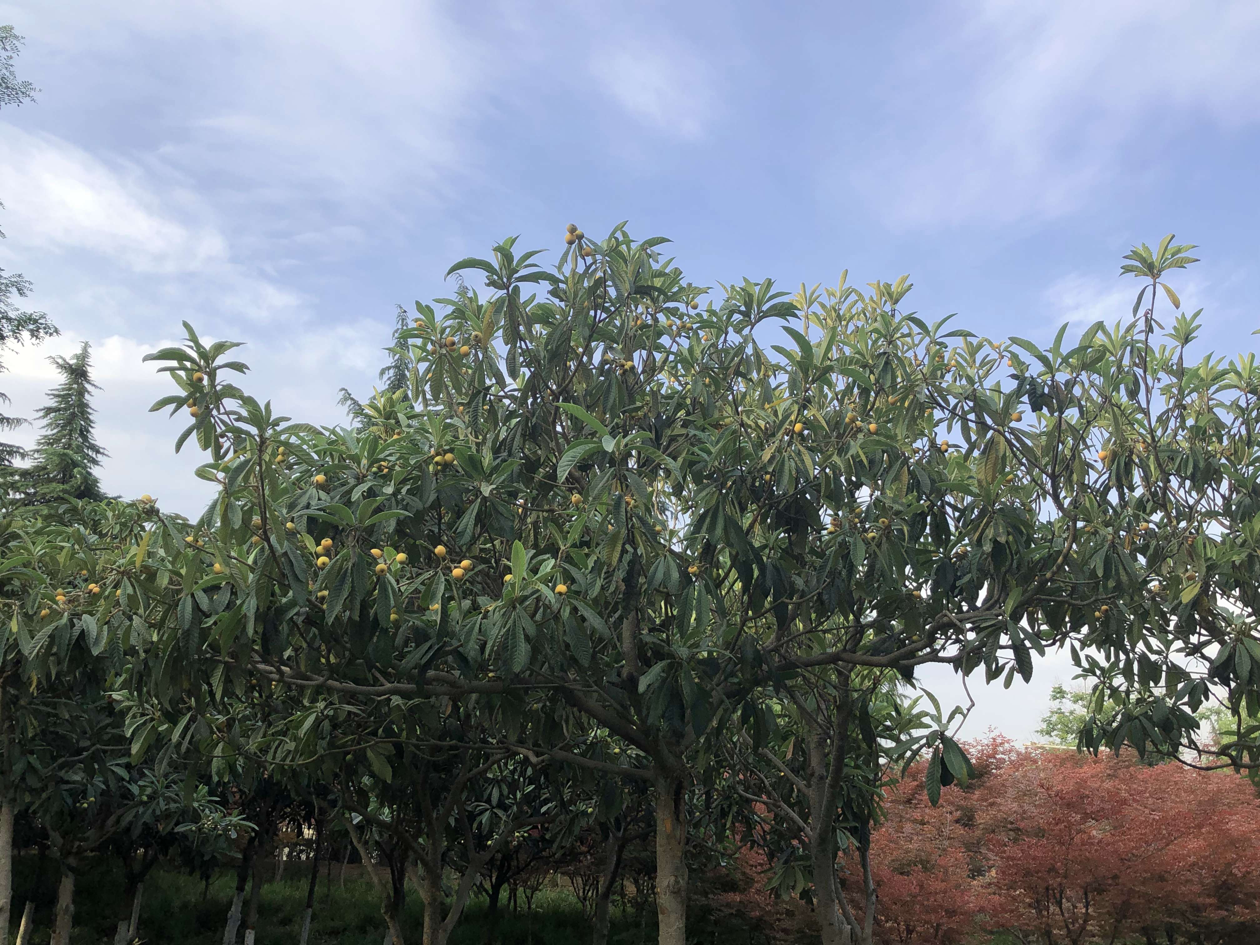 惬意的儿童节 - 第1张图片 | 東漁而笠 惬意的儿童节 - 第1张图片