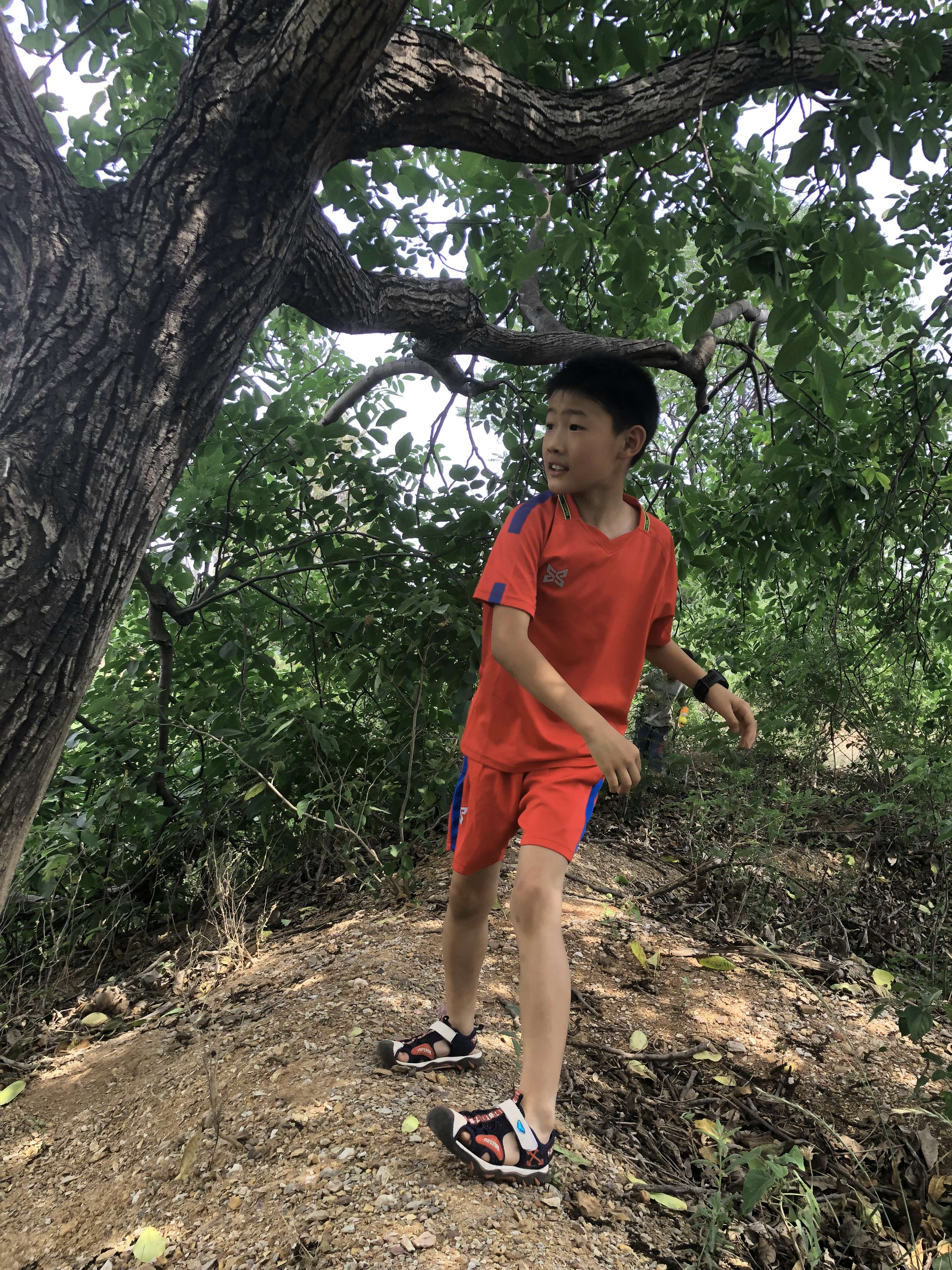 惬意的儿童节 - 第7张图片 | 東漁而笠 惬意的儿童节 - 第7张图片