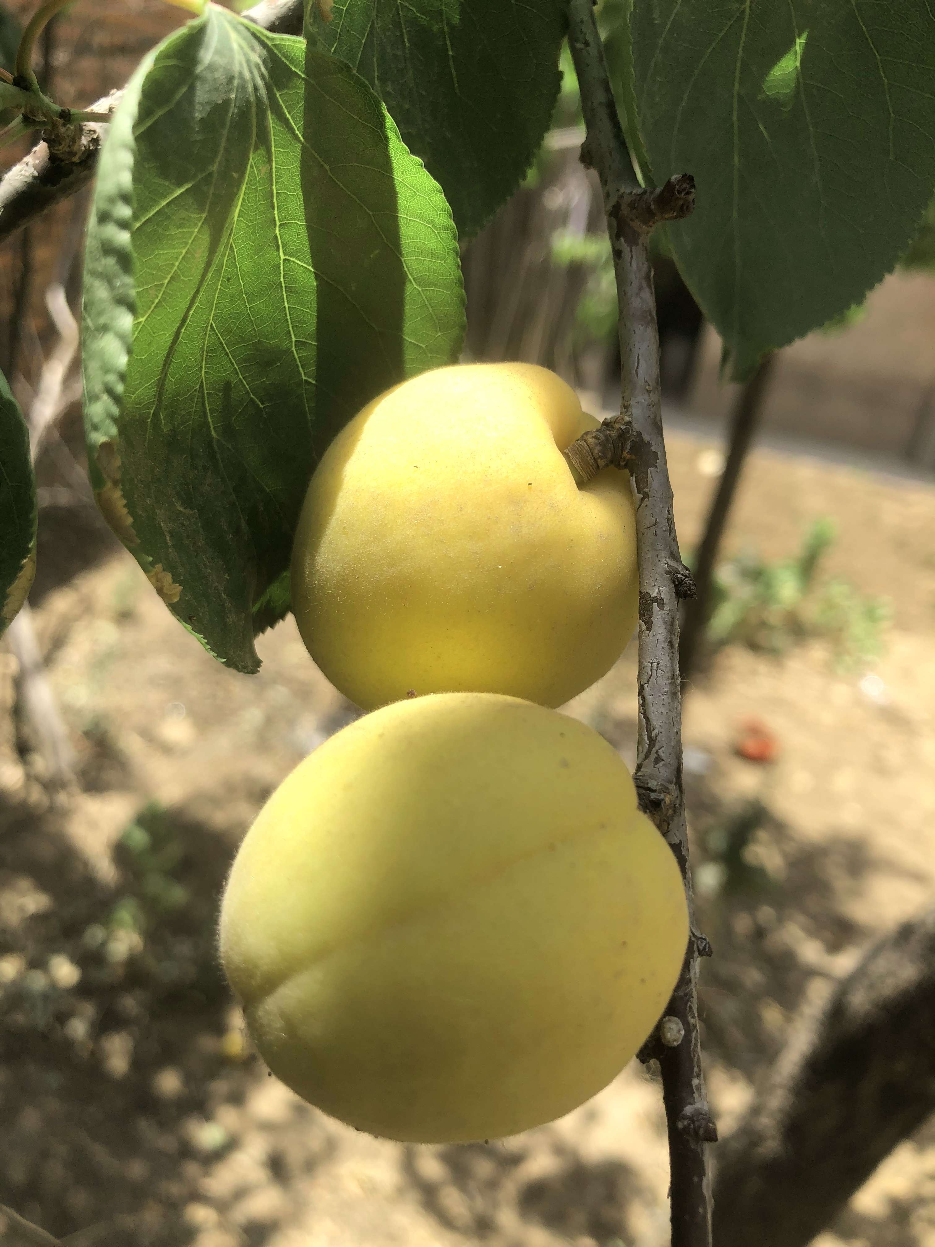 惬意的儿童节 - 第8张图片 | 東漁而笠 惬意的儿童节 - 第8张图片